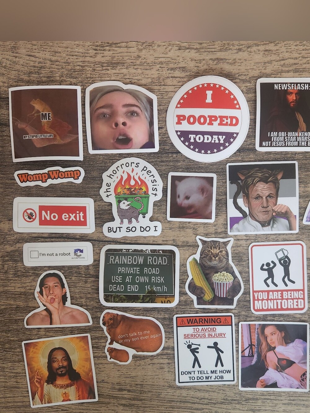 Assorted Vinyl Stickers - Eclectic Funny & Pop Culture Mix #11